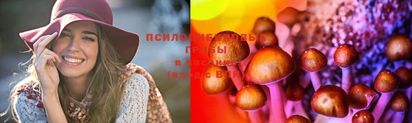 spice Каменногорск