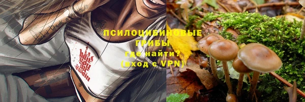 spice Каменногорск